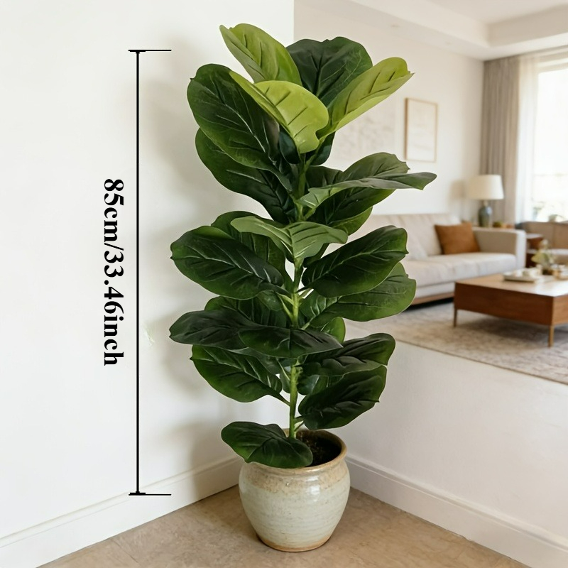 Dracaena Marginata - 1pc of 85cm Artificial Ficus Lyrata