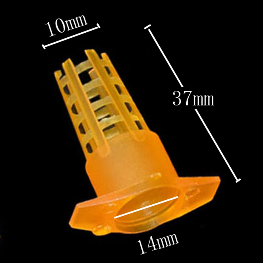 Begonia Rex - 20 pcs Plastic Bee Queen Cage