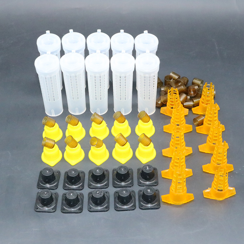 Begonia Rex - Complete bee queen king rearing kit