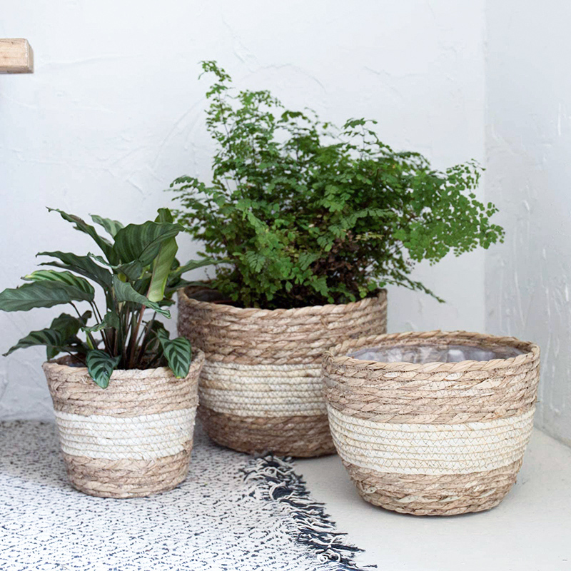 Seagrass Planter Basket Flower – Aloe Vera Pot Bewertung und Preis