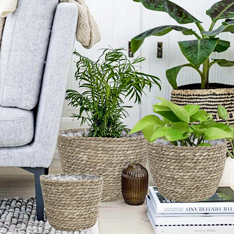 Seagrass Planter Basket Flower – Aloe Vera Pot Bewertung und Preis