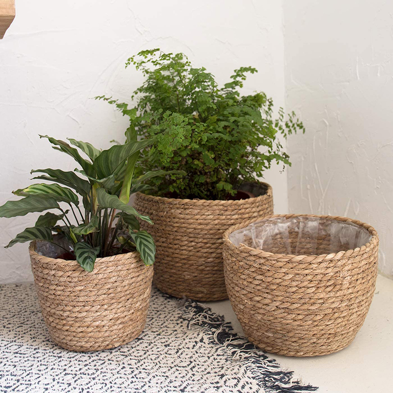 Seagrass Planter Basket Flower – Aloe Vera Pot Bewertung und Preis