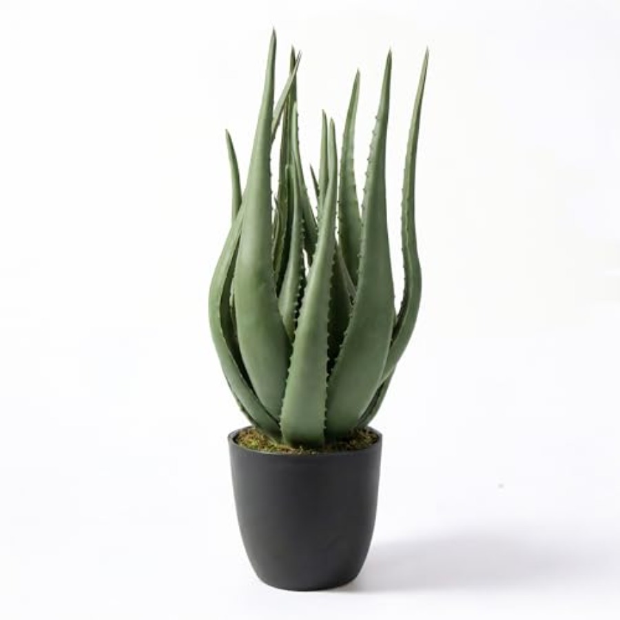 Large Potted Artificial Aloe V – Aloe Vera Pot Bewertung und Preis