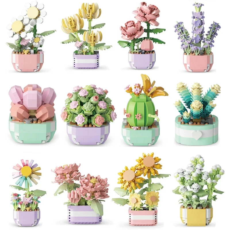 Flower Succulents Building Blo – Echeveria Succulent Bewertung und Preis