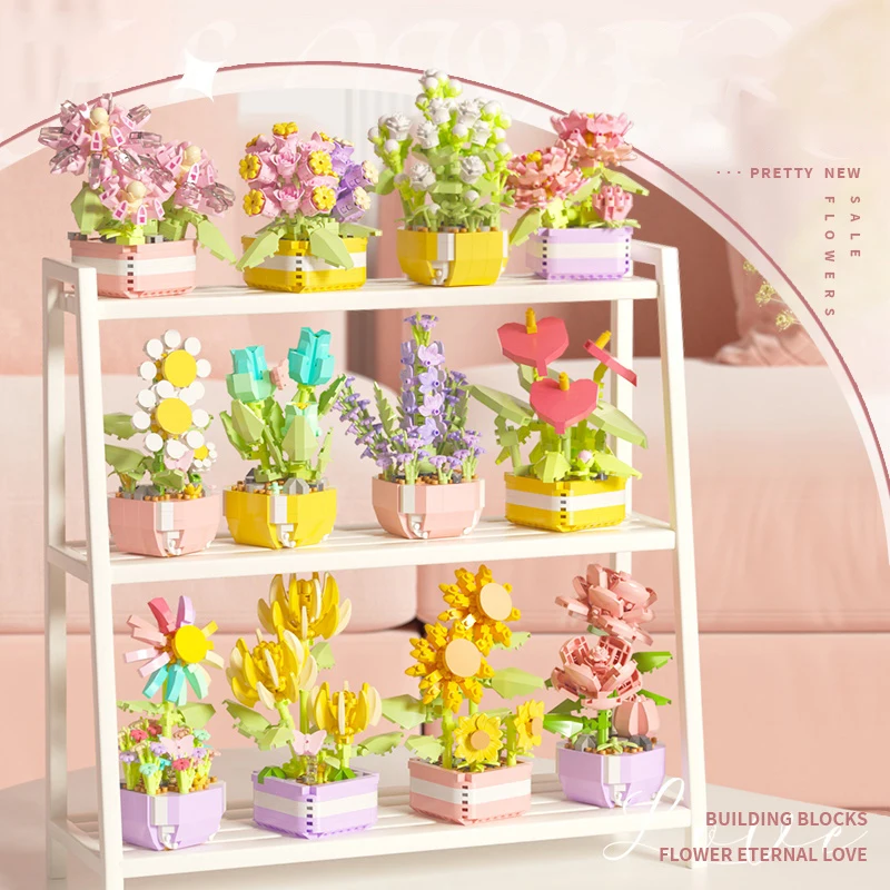 Flower Succulents Building Blo – Echeveria Succulent Bewertung und Preis