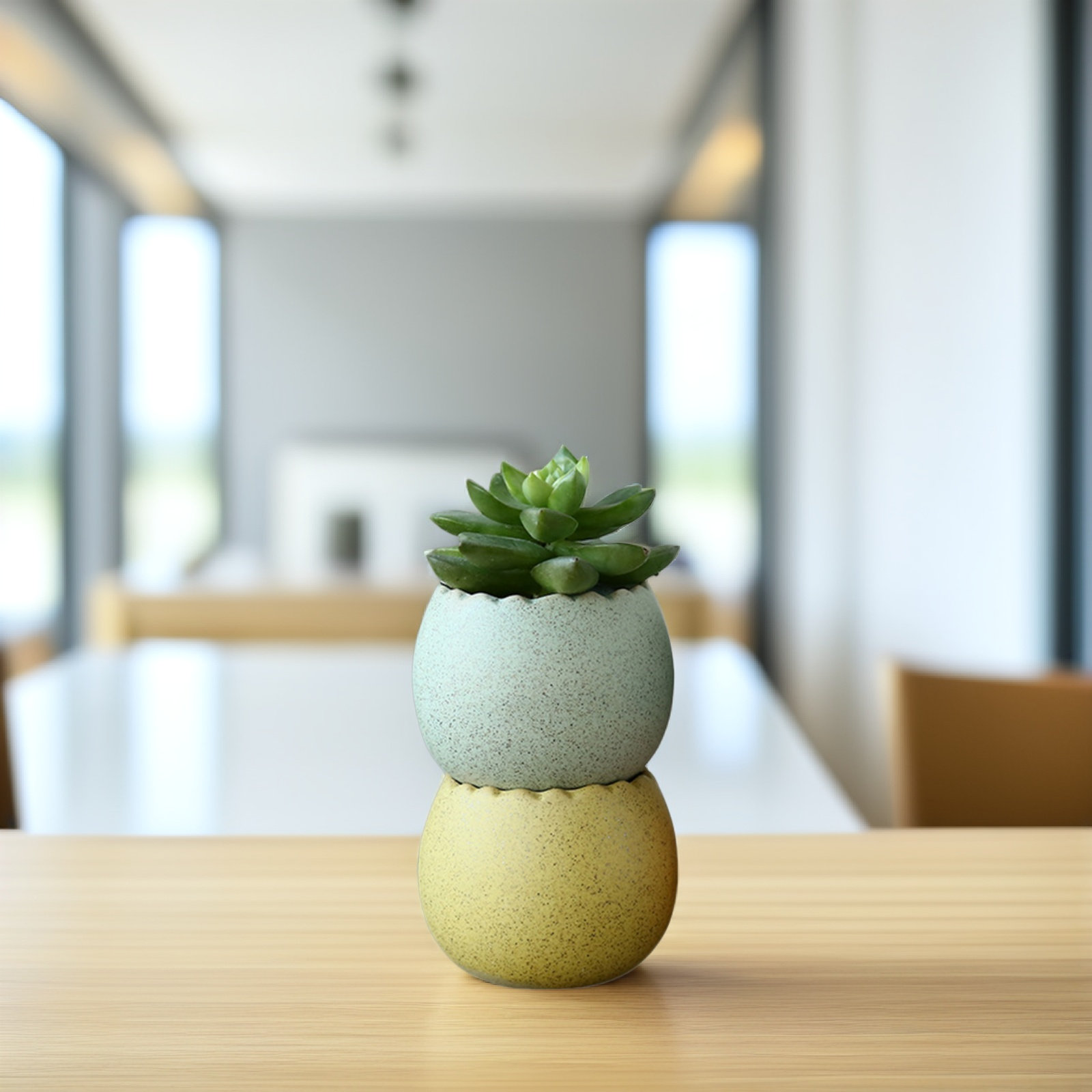 6Pcs Stylish Ceramic Mini Pots – Aloe Vera Pot Bewertung und Preis
