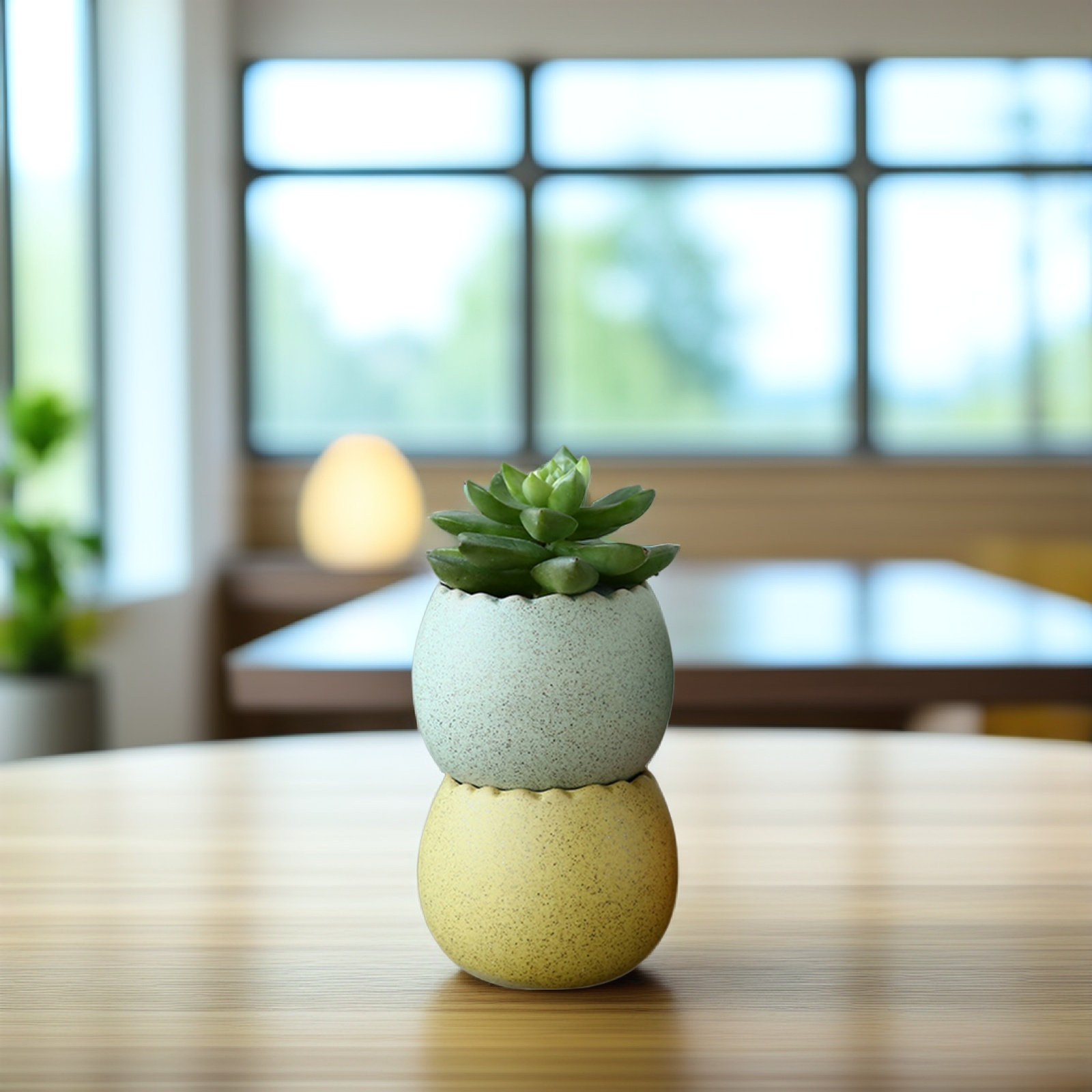 6Pcs Stylish Ceramic Mini Pots – Aloe Vera Pot Bewertung und Preis