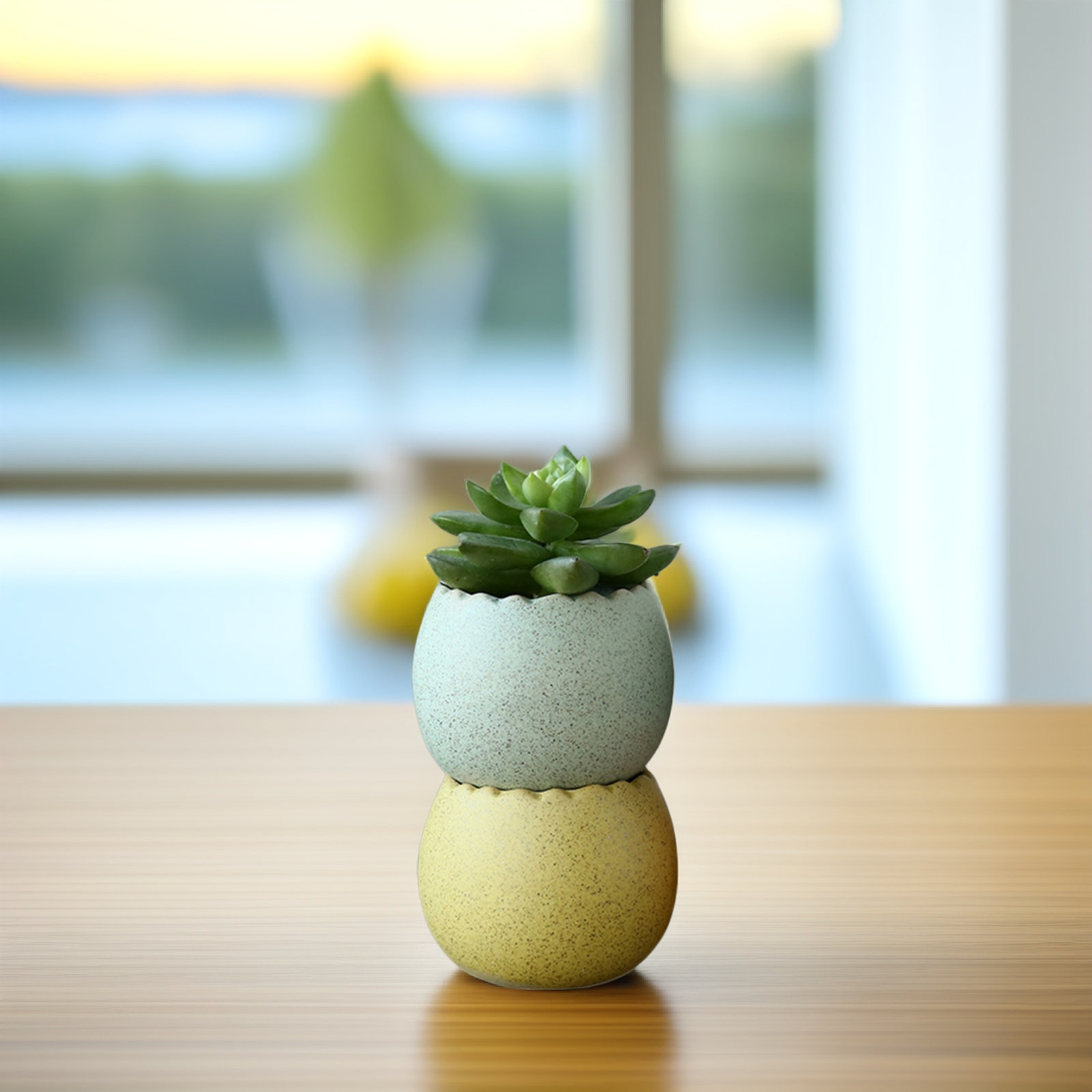 6Pcs Stylish Ceramic Mini Pots – Aloe Vera Pot Bewertung und Preis