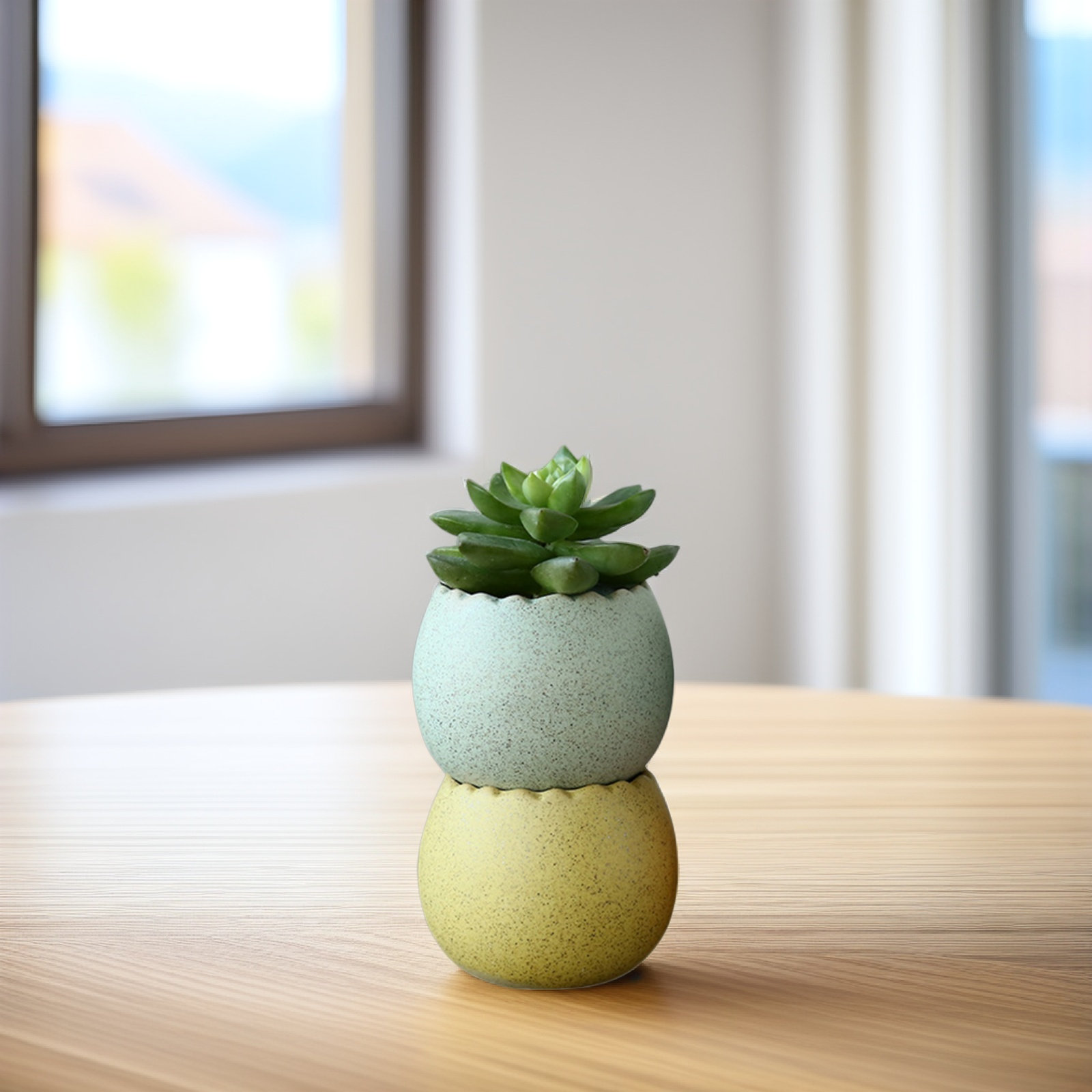6Pcs Stylish Ceramic Mini Pots – Aloe Vera Pot Bewertung und Preis
