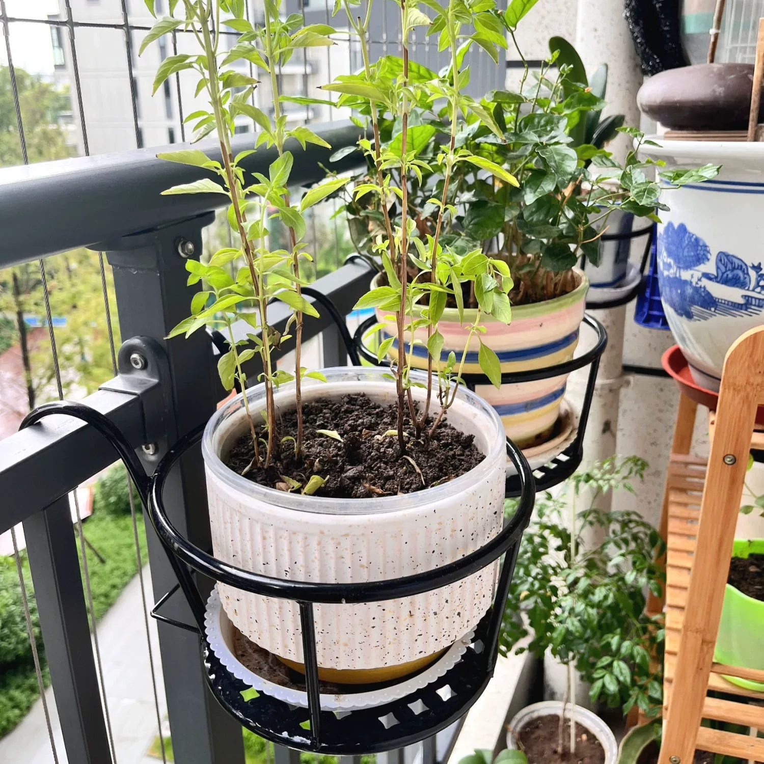 Wrought Iron Balcony Hanging F – Spider Plant Hanging Bewertung und Preis