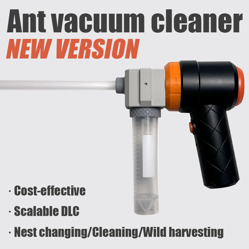 Ant Farm Collection Tool Ants  – Begonia Rex Bewertung und Preis