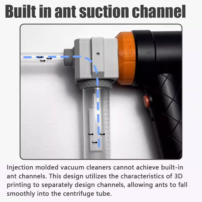 Ant Farm Collection Tool Ants  – Begonia Rex Bewertung und Preis