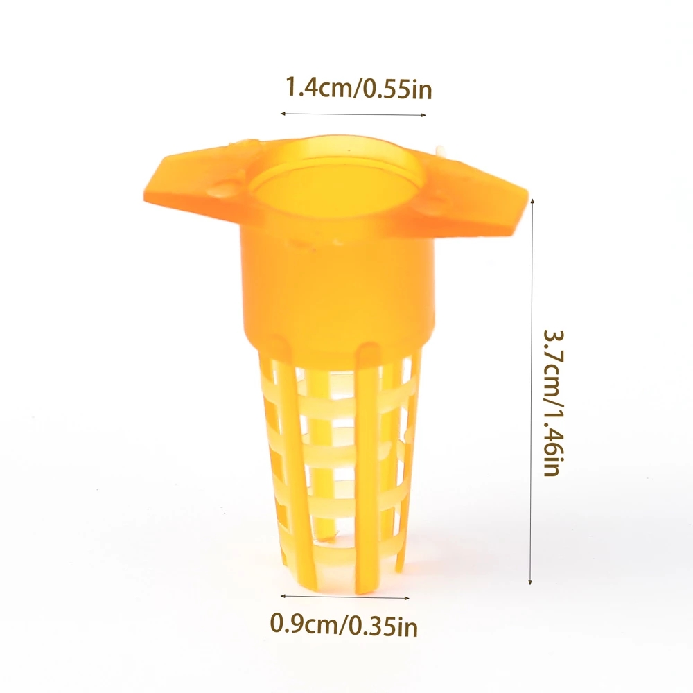 50 Pcs King Cells Plastic Bee  – Begonia Rex Bewertung und Preis