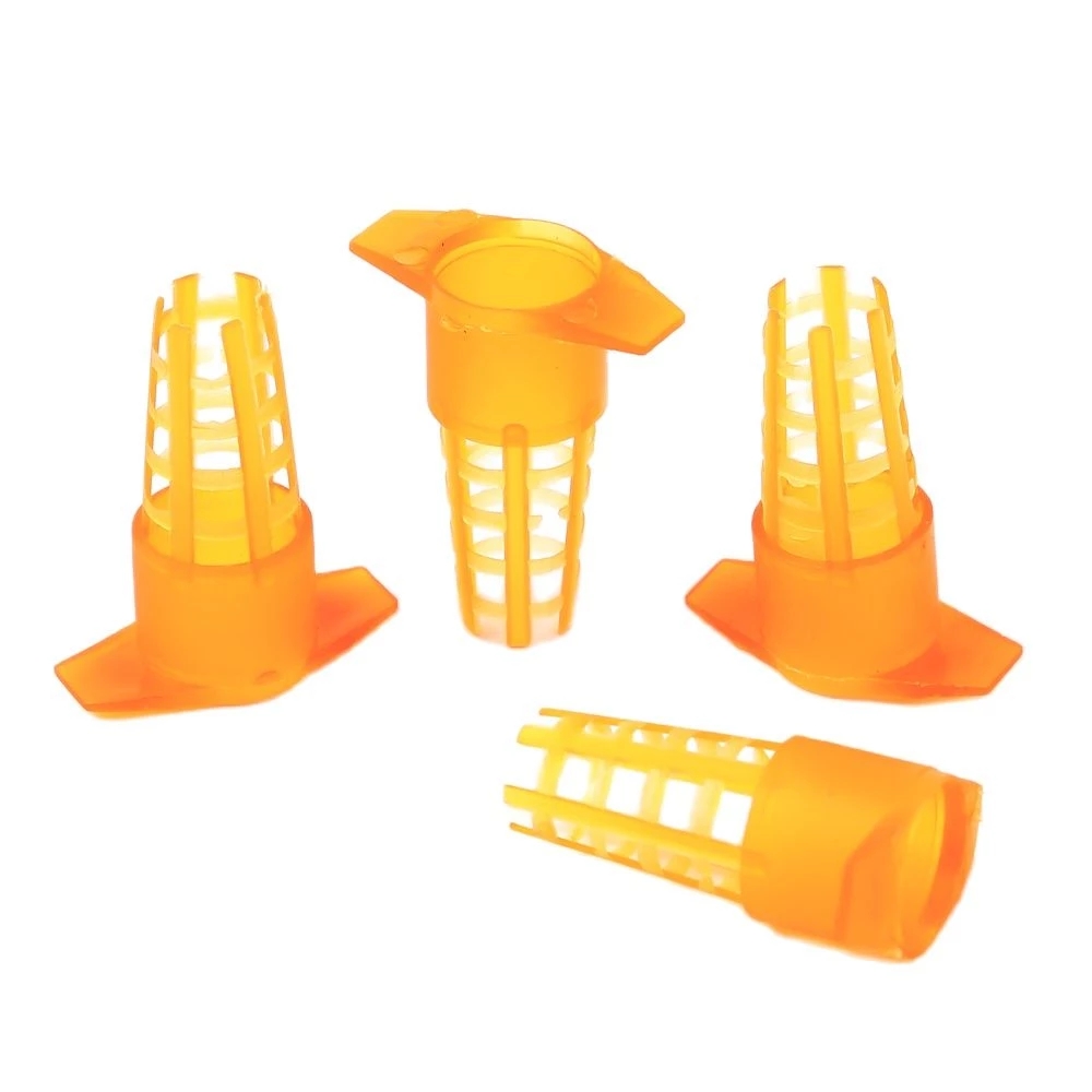 50 Pcs King Cells Plastic Bee  – Begonia Rex Bewertung und Preis