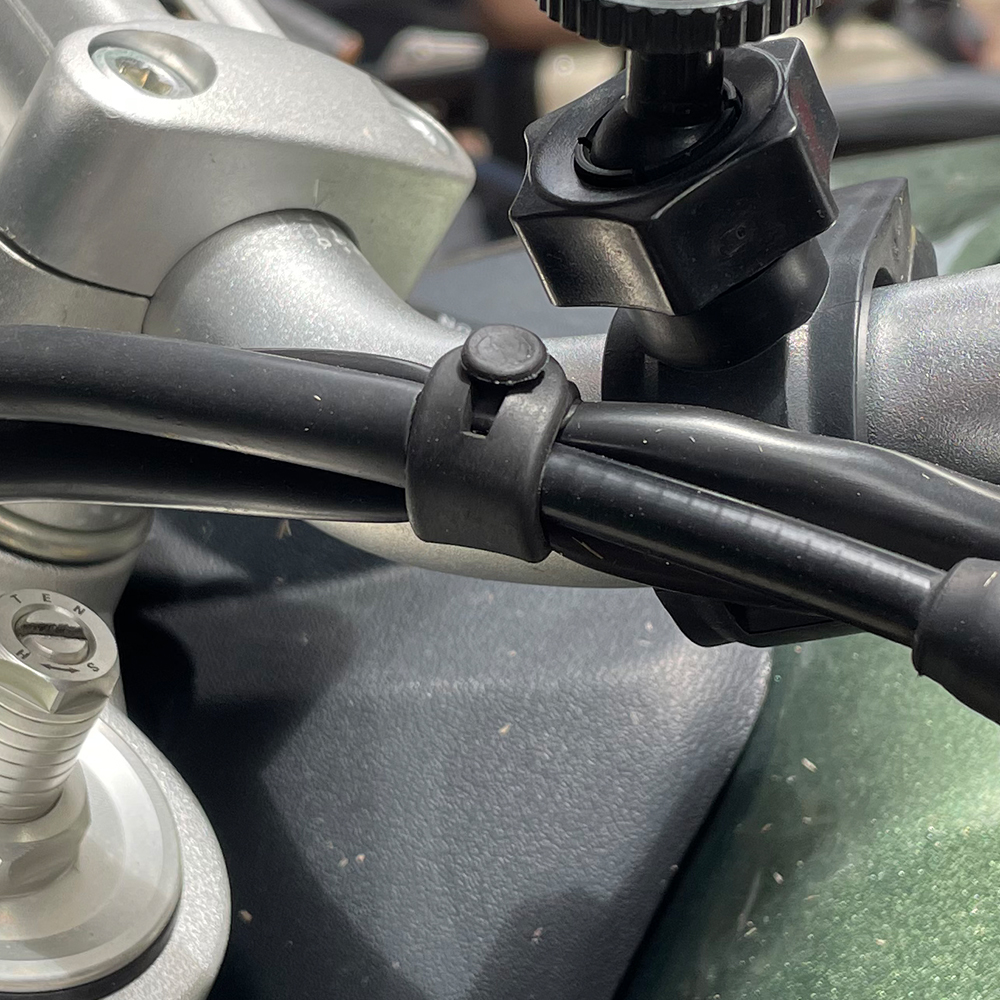 For Ducati Monster Multistrada – Monstera Adansonii Bewertung und Preis