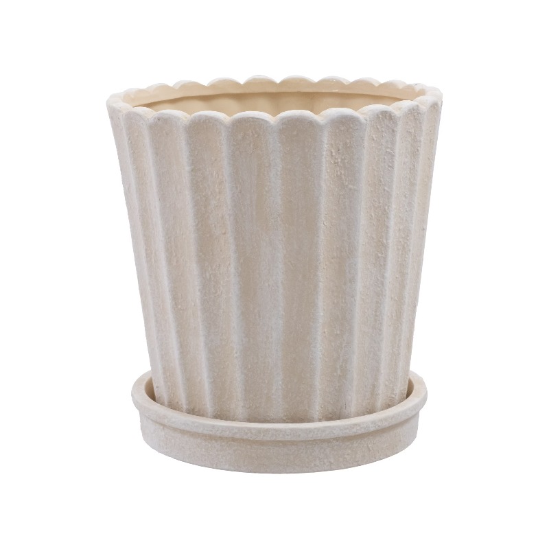 8 Inch Shell Planter Cream Cer – Aloe Vera Pot Bewertung und Preis