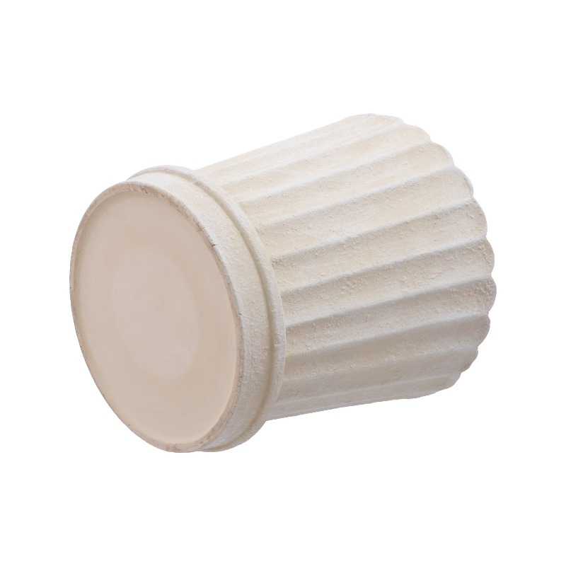 8 Inch Shell Planter Cream Cer – Aloe Vera Pot Bewertung und Preis