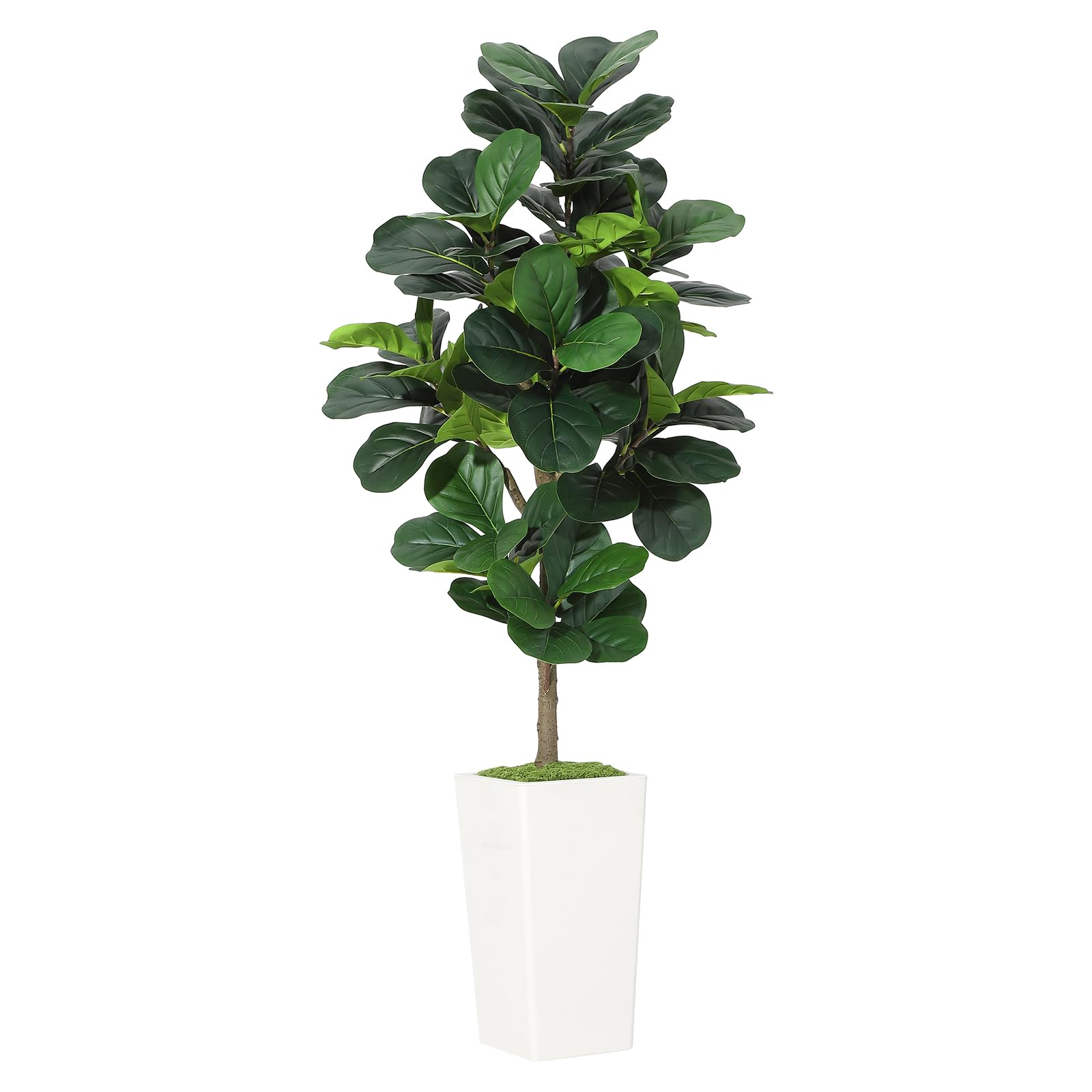 Artificial Fiddle Leaf Fig Tre – Ficus Lyrata Tree Bewertung und Preis