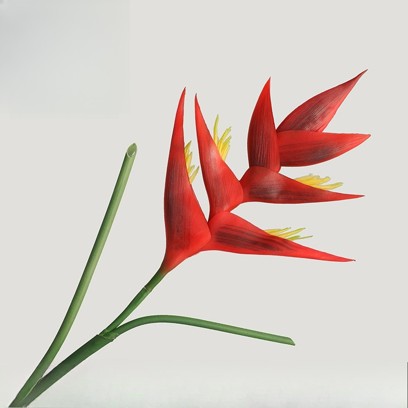 1PCS 85cm Artificial Strelitzi – Bird Paradise Strelitzia Bewertung und Preis