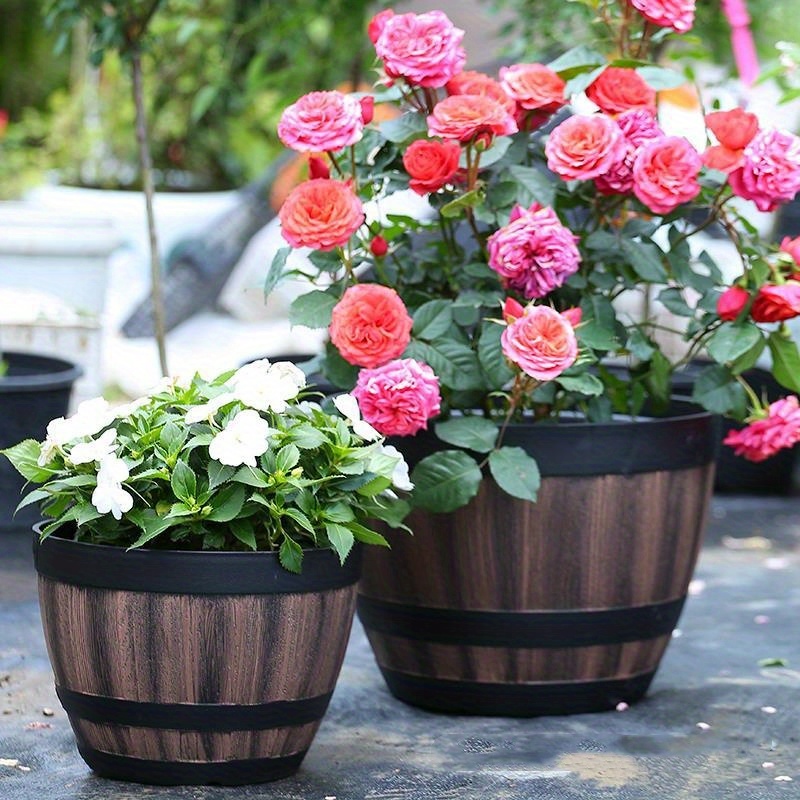 Durable Plastic Round Elegant  – Aloe Vera Pot Bewertung und Preis
