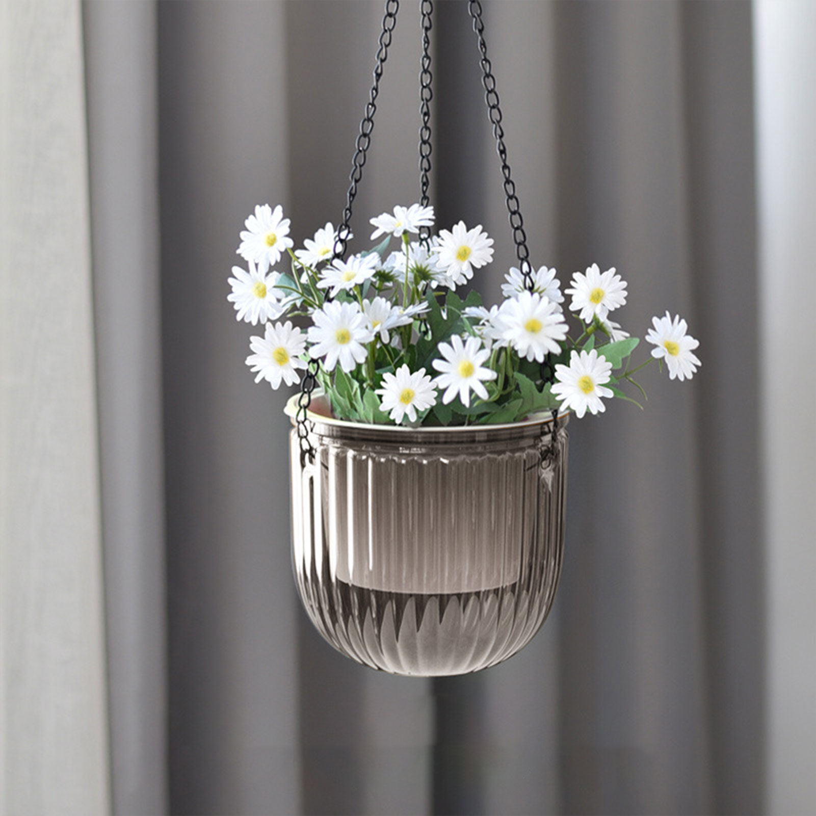 Automatic Self Watering Plant  – Spider Plant Hanging Bewertung und Preis