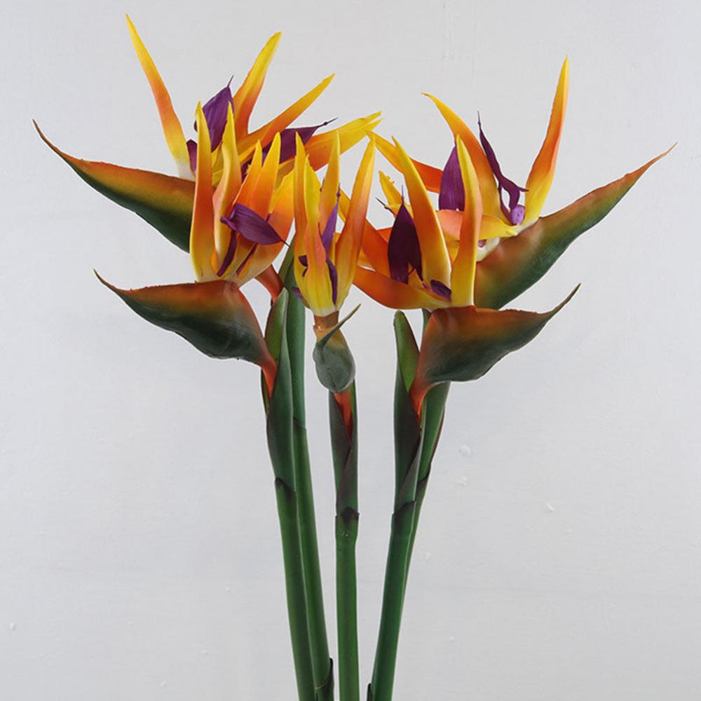 1pc 80cm Flower Bird Of Paradi – Bird Paradise Strelitzia Bewertung und Preis