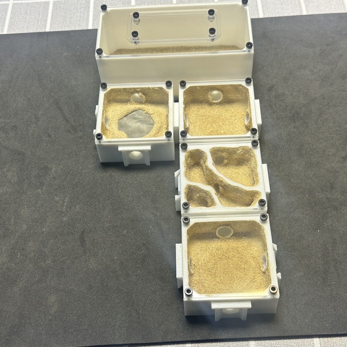 Ants Farm with Water Feeder fo – Begonia Rex Bewertung und Preis