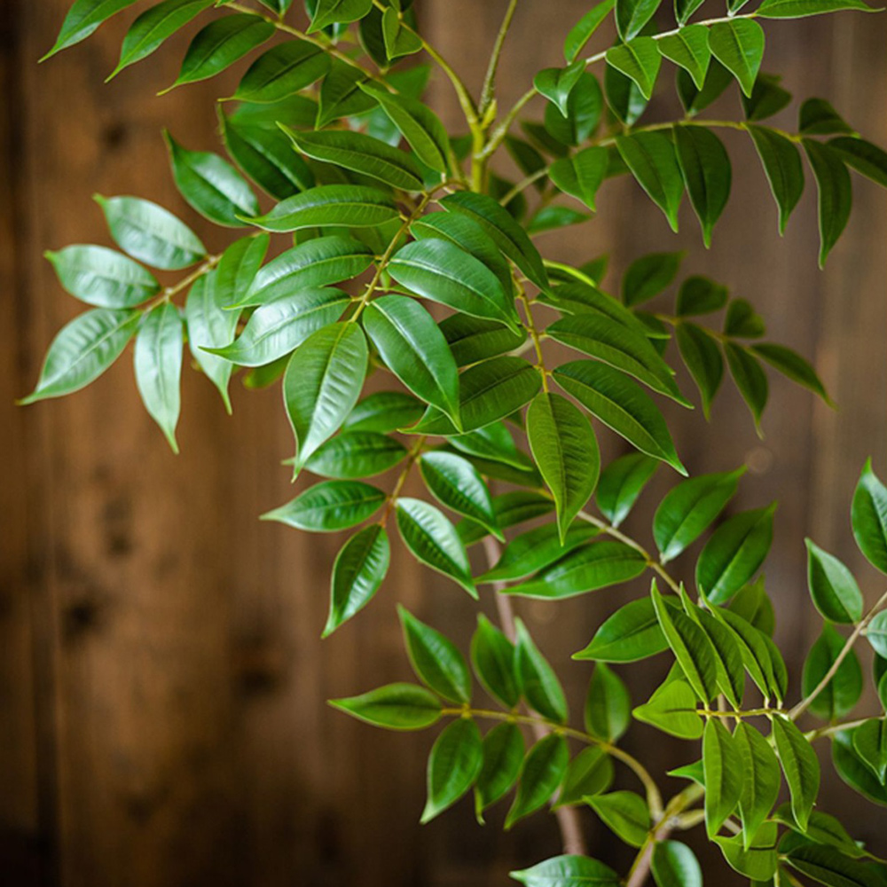 76-140cm Large Artificial Ficu – Ficus Lyrata Tree Bewertung und Preis