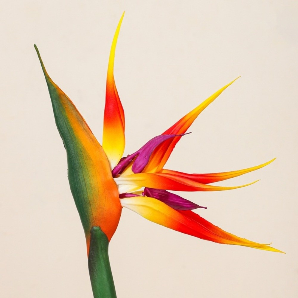 New Long Stem Artificial Bird  – Bird Paradise Strelitzia Bewertung und Preis