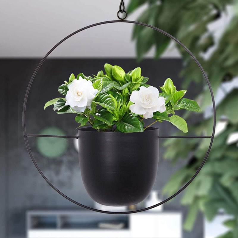 Hanging Iron Art Plant Pots Ba – Spider Plant Hanging Bewertung und Preis