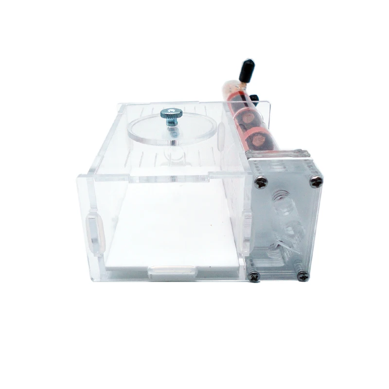 DIY Ant Farm 2 pcs 18-180mm Gy – Begonia Rex Bewertung und Preis