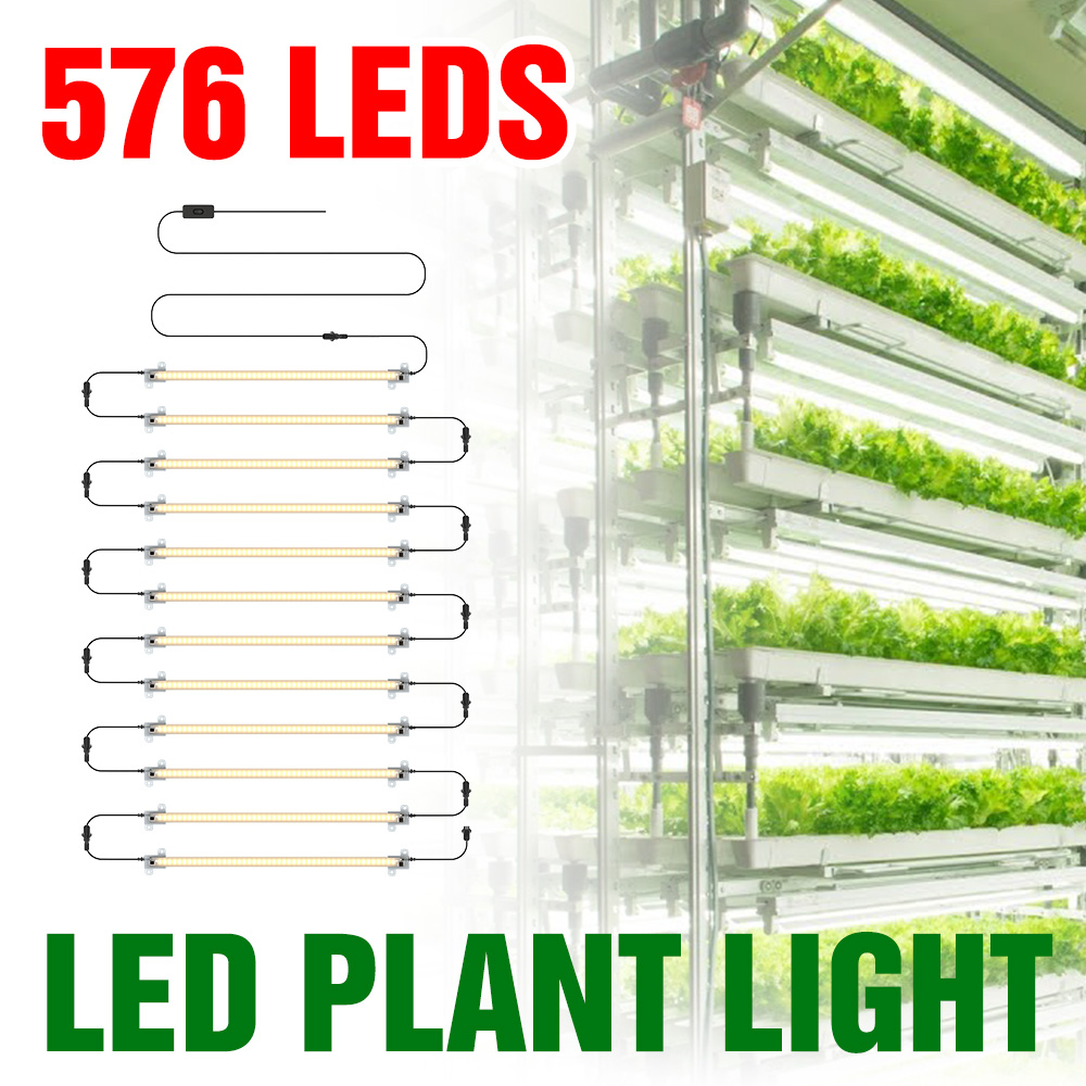 LED Grow Light Strip Full Spec – Echeveria Succulent Bewertung und Preis
