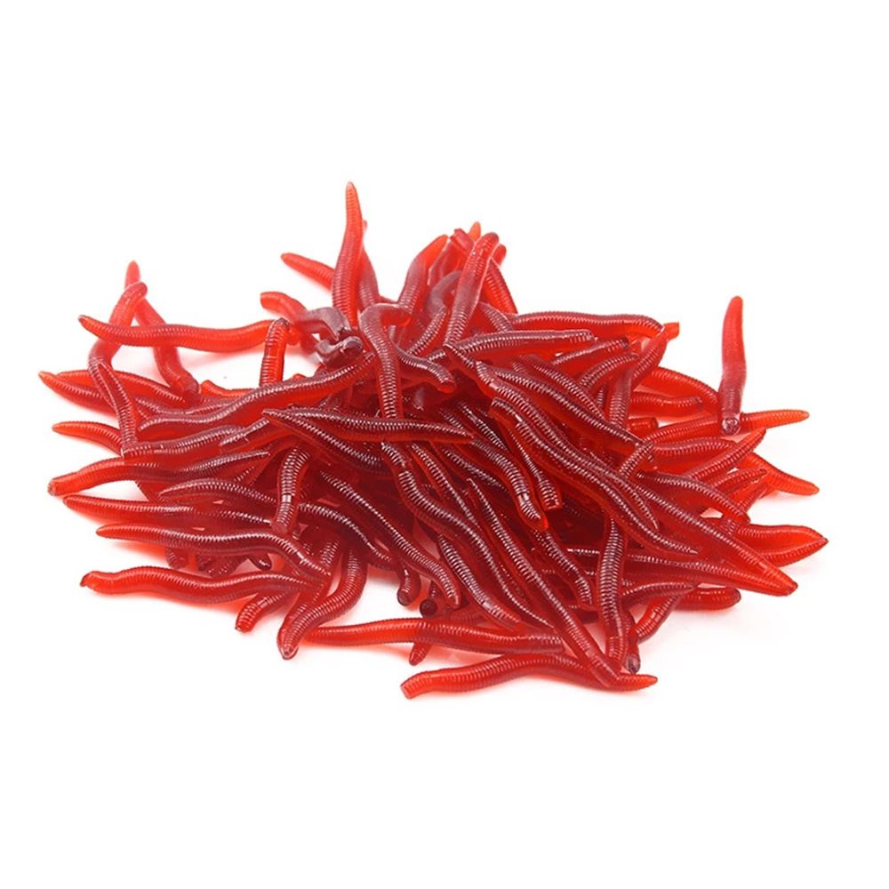 100pcs/Bottle Realistic Tackle – Aglaonema Red Bewertung und Preis