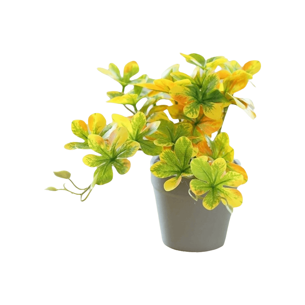 Bonsai Artificial Bonsai Plant – Spider Plant Hanging Bewertung und Preis