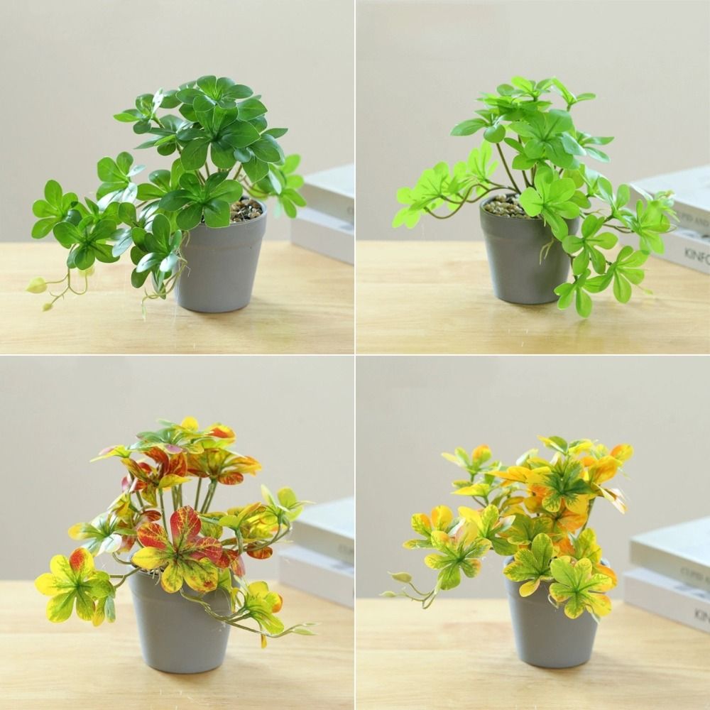 Bonsai Artificial Bonsai Plant – Spider Plant Hanging Bewertung und Preis