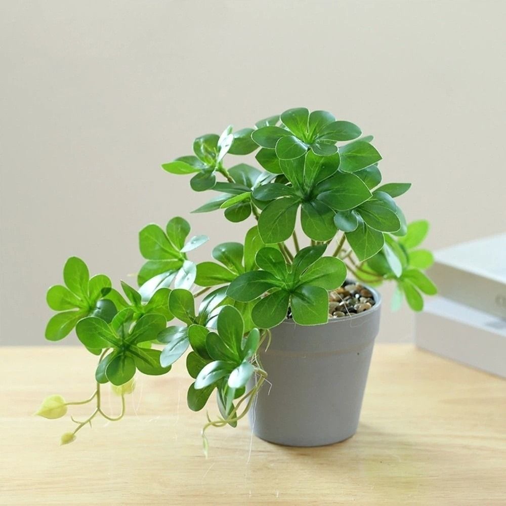 Bonsai Artificial Bonsai Plant – Spider Plant Hanging Bewertung und Preis