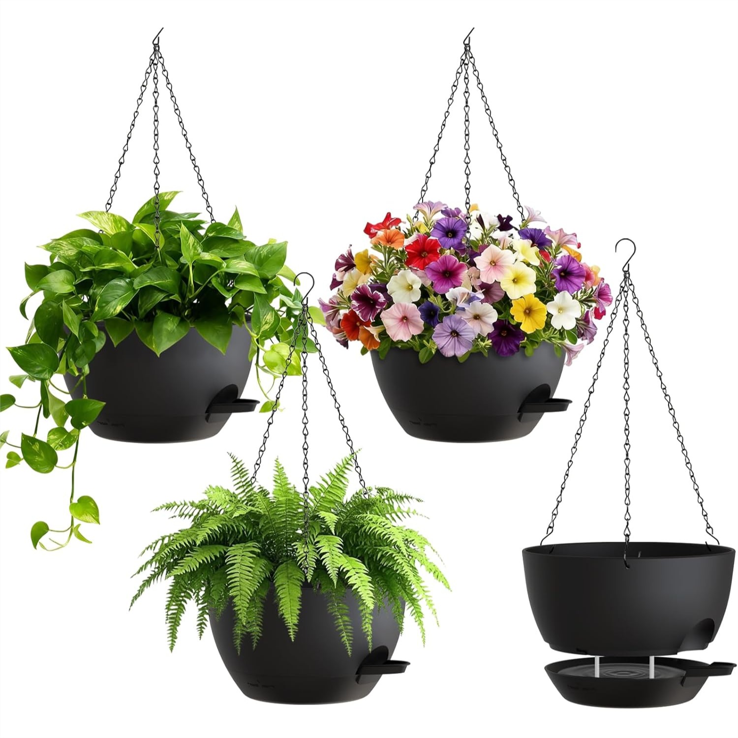 8 Inch Self Watering Hanging P – Spider Plant Hanging Bewertung und Preis