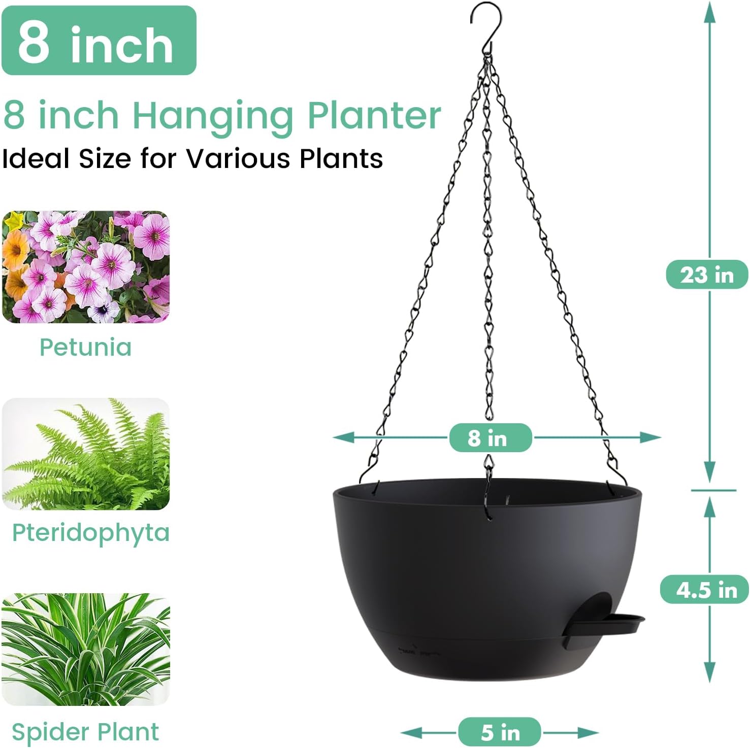 8 Inch Self Watering Hanging P – Spider Plant Hanging Bewertung und Preis