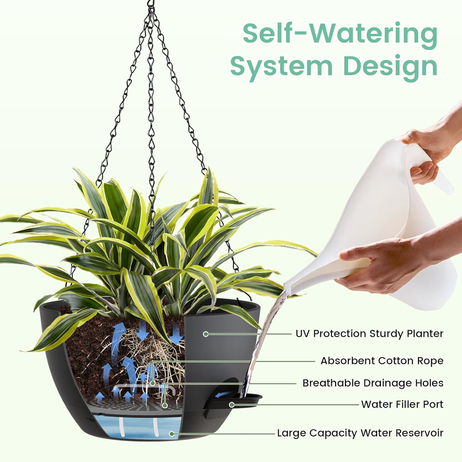 8 Inch Self Watering Hanging P – Spider Plant Hanging Bewertung und Preis