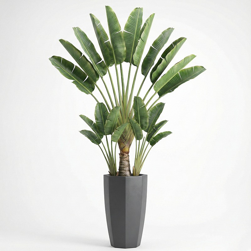 High-Simulation Plastic Fiddle – Ficus Lyrata Tree Bewertung und Preis