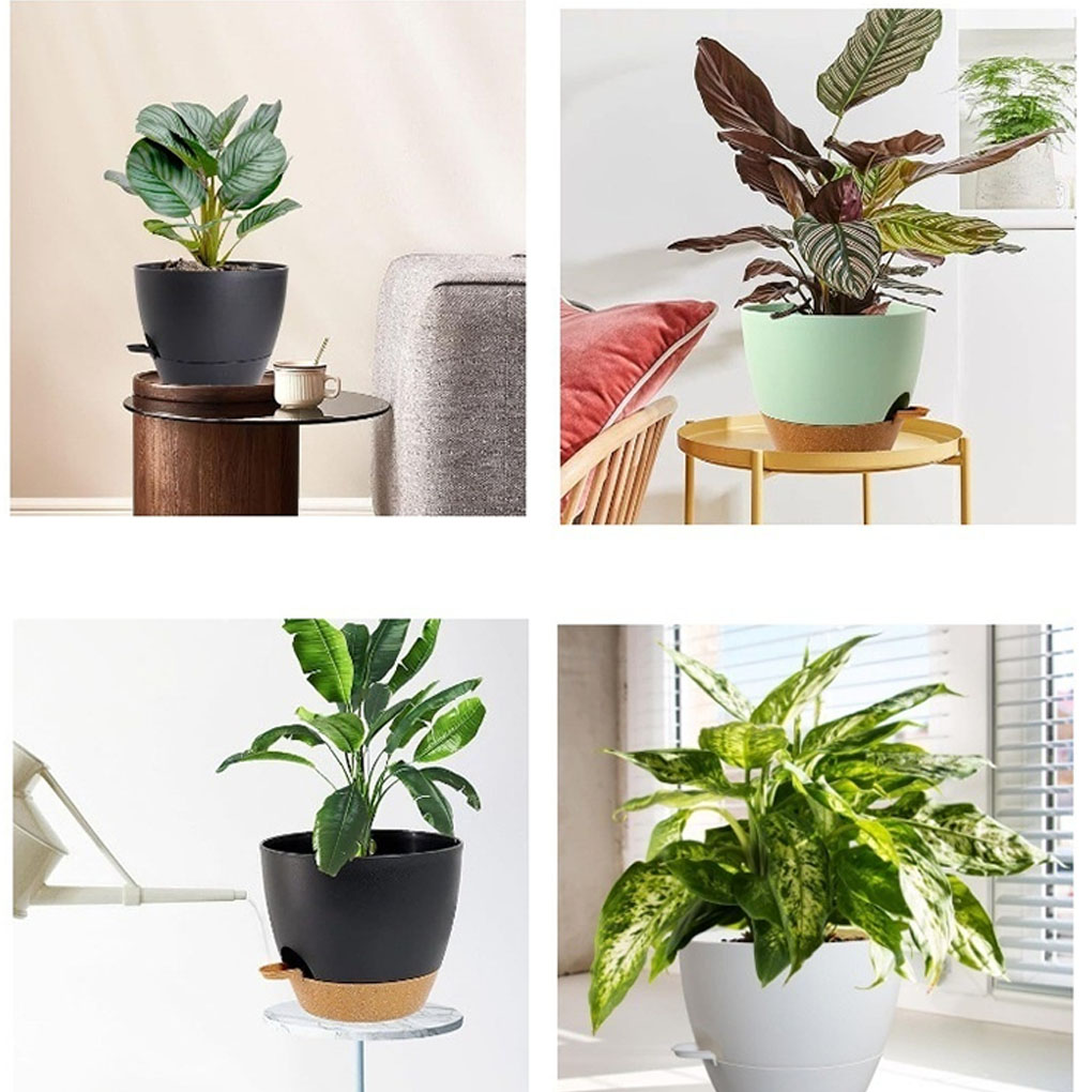 5piece Indoor Flower Pots With – Aloe Vera Pot Bewertung und Preis