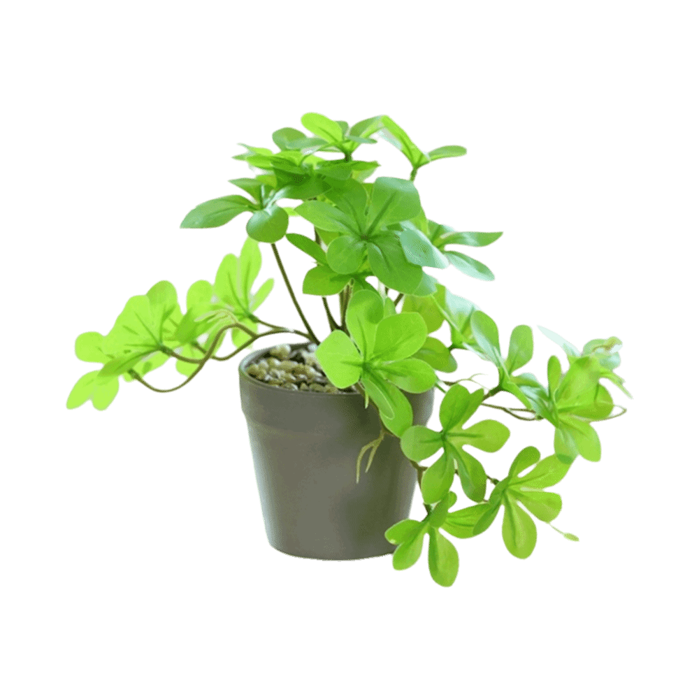 Bonsai Artificial Bonsai Plant – Spider Plant Hanging Bewertung und Preis
