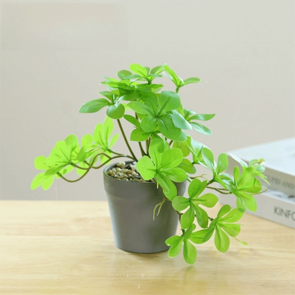 Bonsai Artificial Bonsai Plant – Spider Plant Hanging Bewertung und Preis