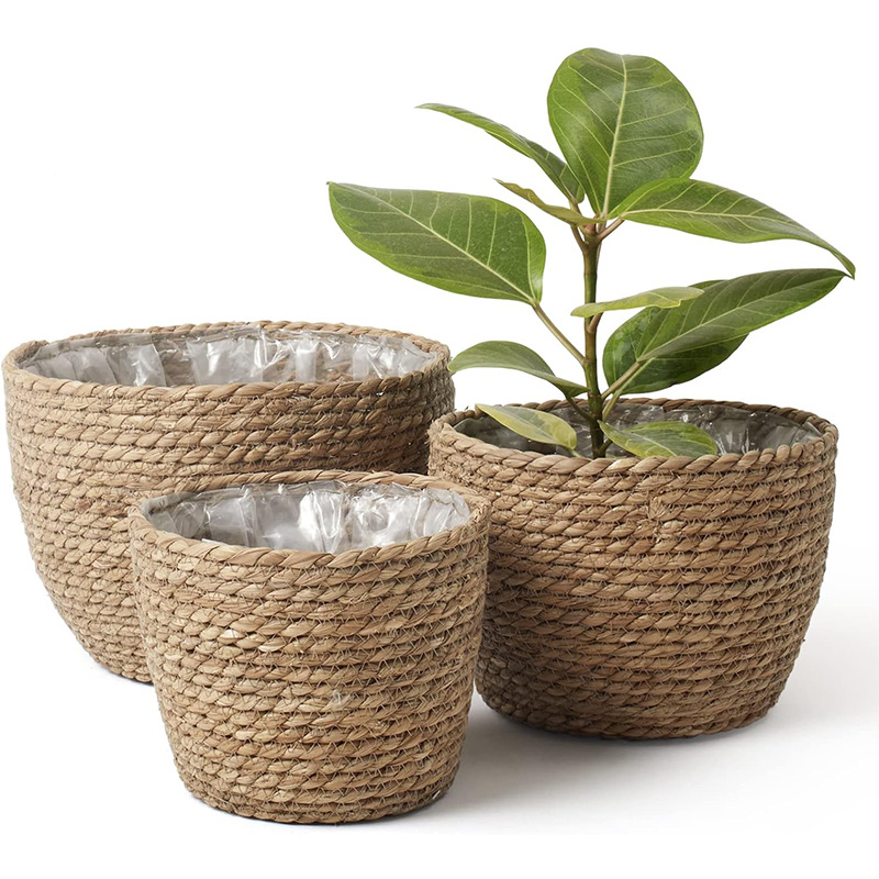 Natural Woven Flower Basket St – Aloe Vera Pot Bewertung und Preis