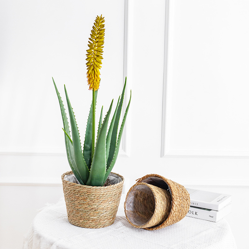 Natural Woven Flower Basket St – Aloe Vera Pot Bewertung und Preis