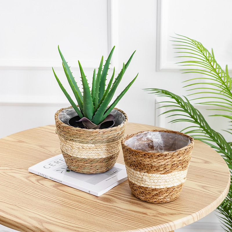 Natural Woven Flower Basket St – Aloe Vera Pot Bewertung und Preis