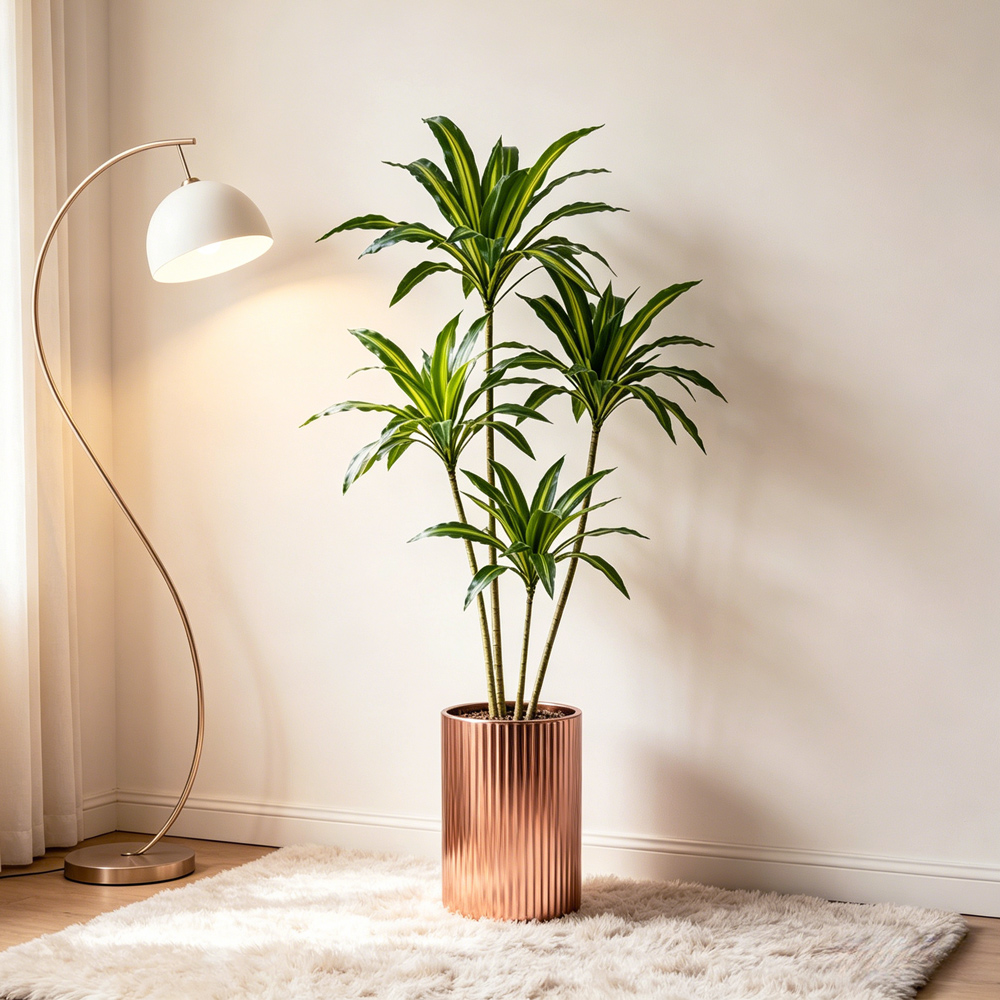 80-165cm Large Artifcial Draca – Dracaena Marginata Bewertung und Preis