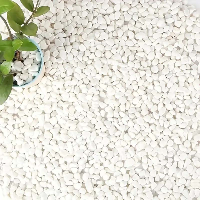 White Pebbles Decorative Stone – Echeveria Succulent Bewertung und Preis