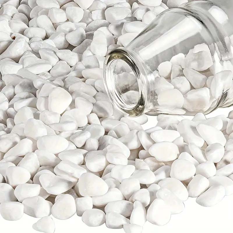 White Pebbles Decorative Stone – Echeveria Succulent Bewertung und Preis