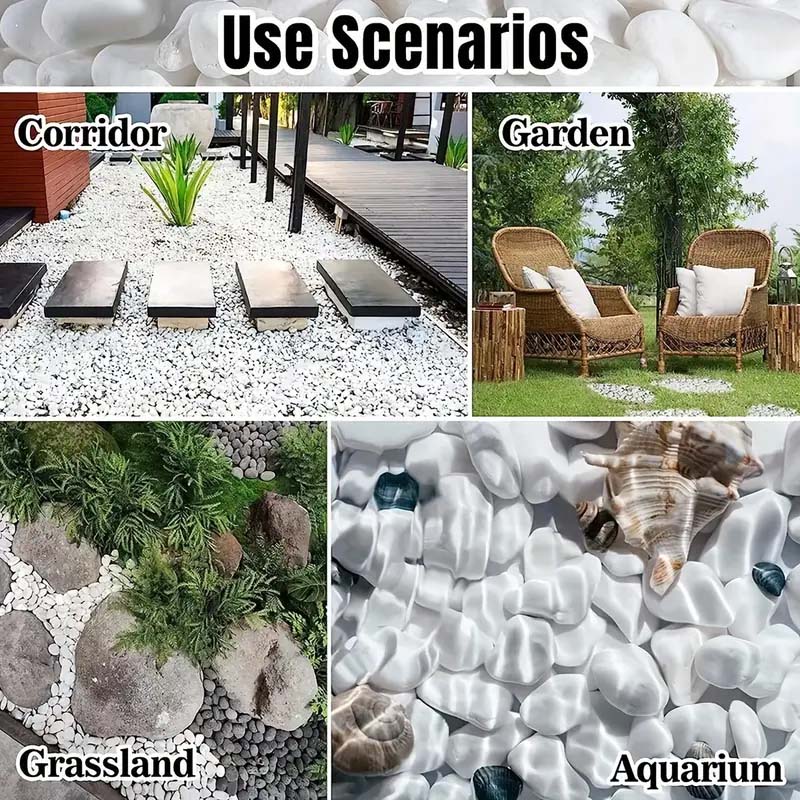 White Pebbles Decorative Stone – Echeveria Succulent Bewertung und Preis